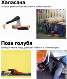 Tombik Ayı'nın Dişi Sallanıyor